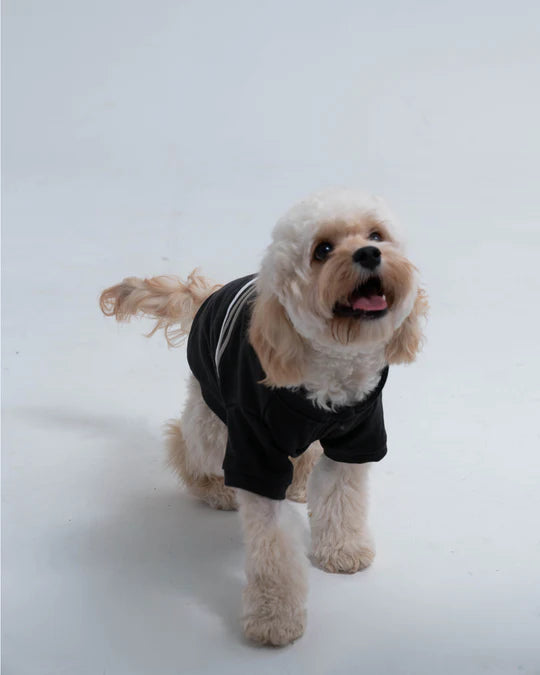 PawsPlay half-zip Dog sweatshirt