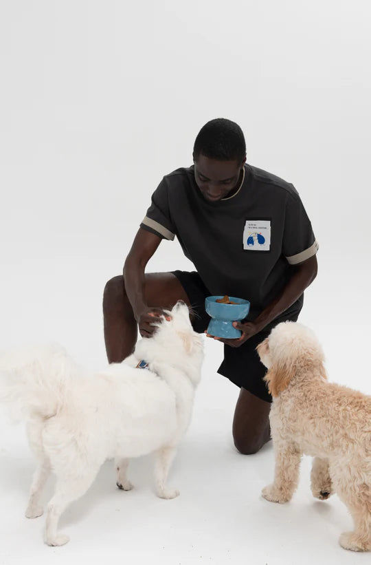 Nordic Pet Bowl