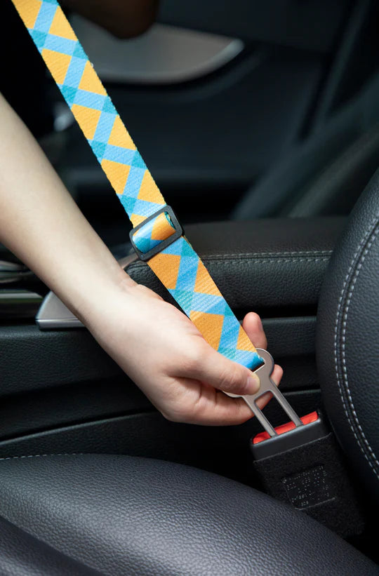 Car Safety Rope for Dog