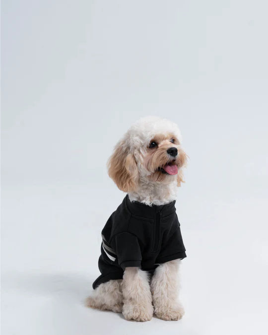 PawsPlay half-zip Dog sweatshirt