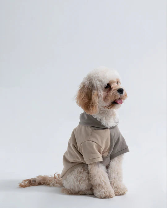 Two Tone Street Dog Hoodie