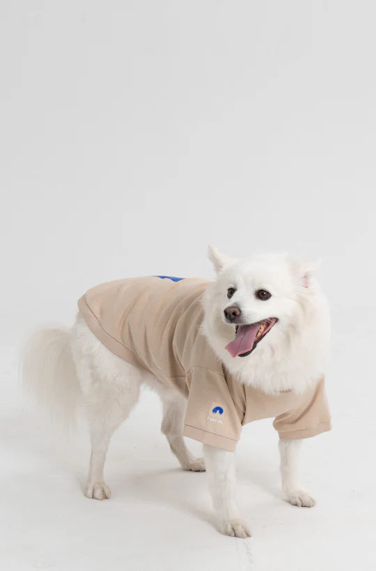 Paw-Some “High-Five” Dog T-Shirt