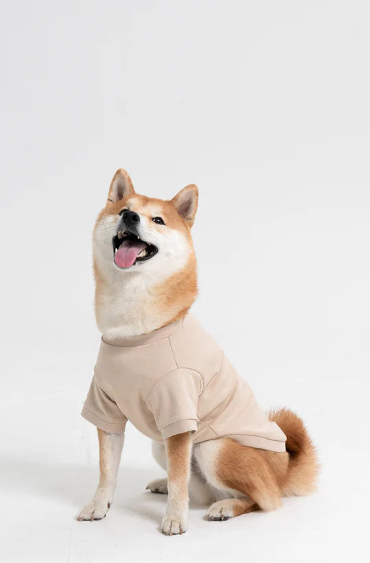 Paw-Some “High-Five” Dog T-Shirt