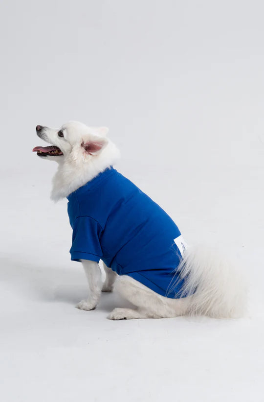 Paw-Some “High-Five” Dog T-Shirt