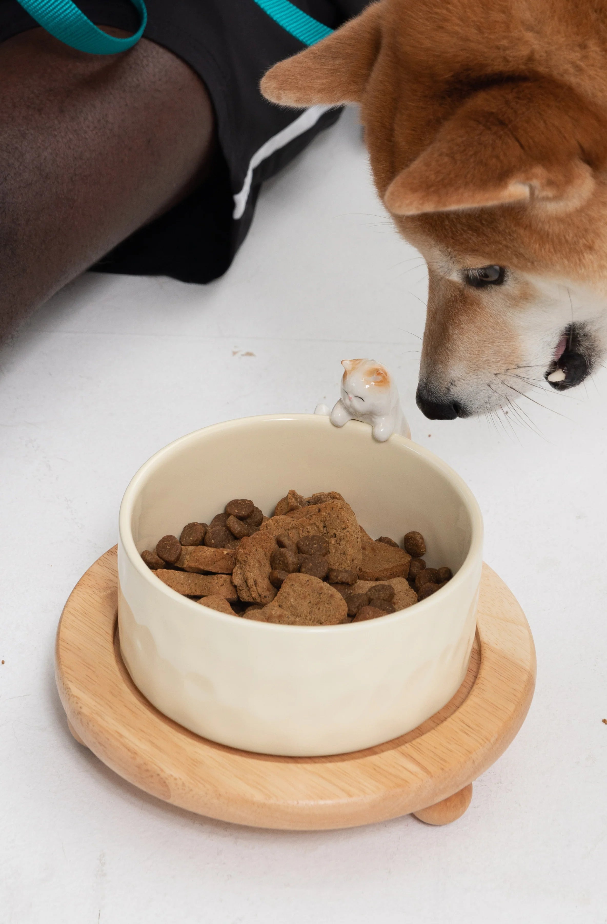 Ceramic Pet Bowl