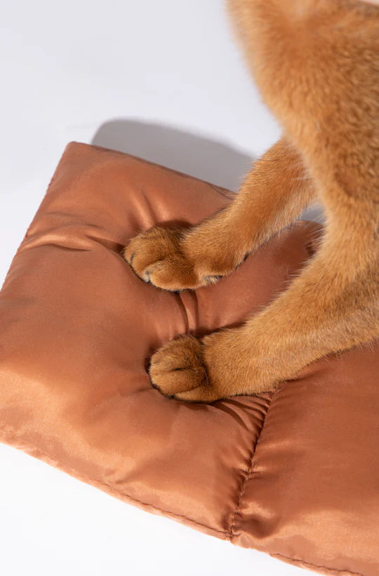 Let’s Get Out Pet Travel Bag