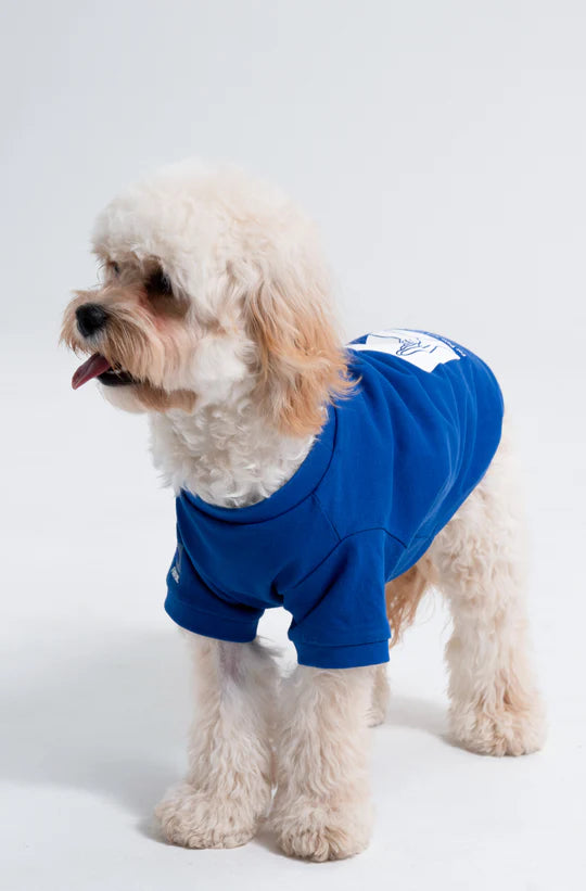 Paw-Some “High-Five” Dog T-Shirt