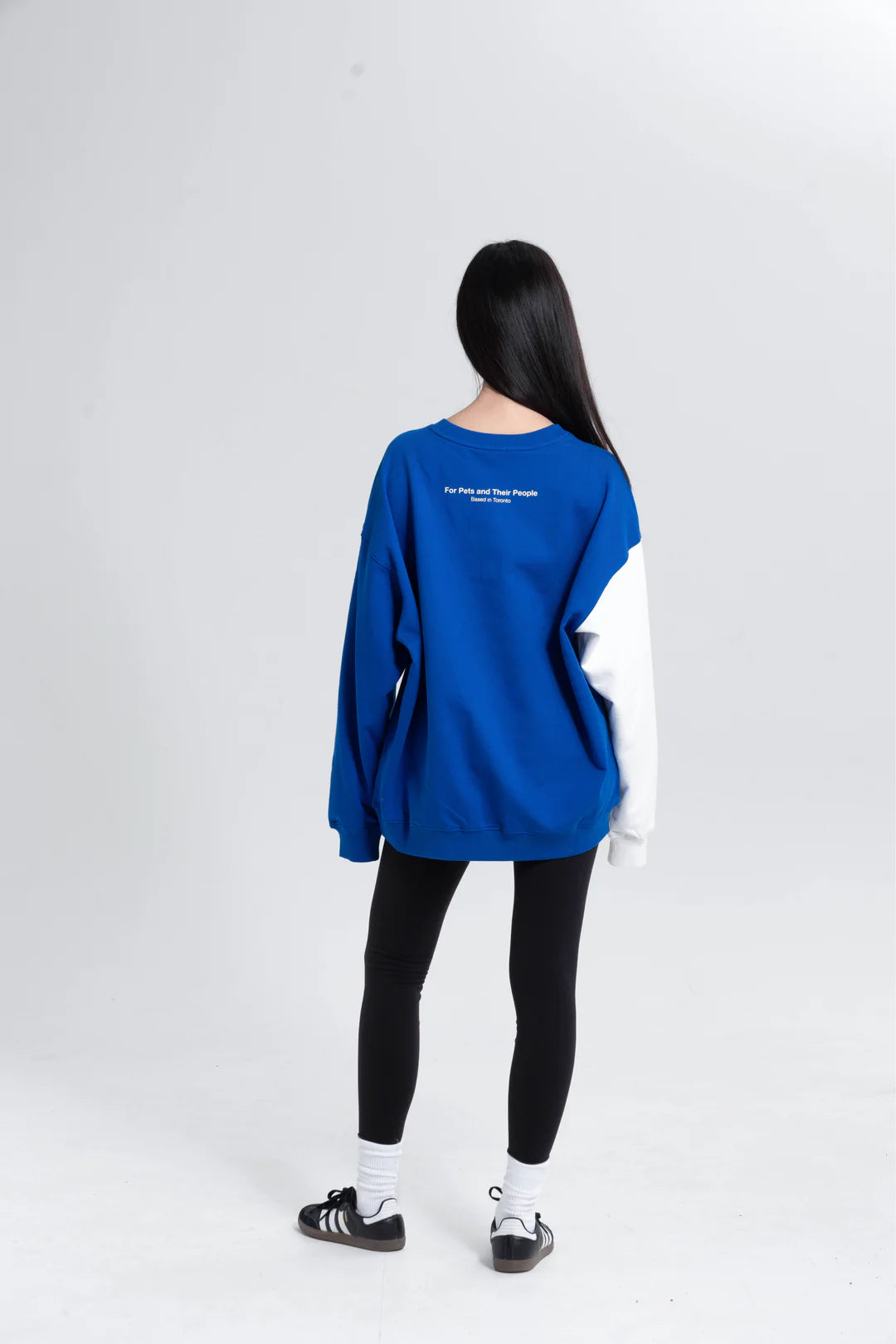 Adventure/ Comfort Human And Dog Hoodie Set