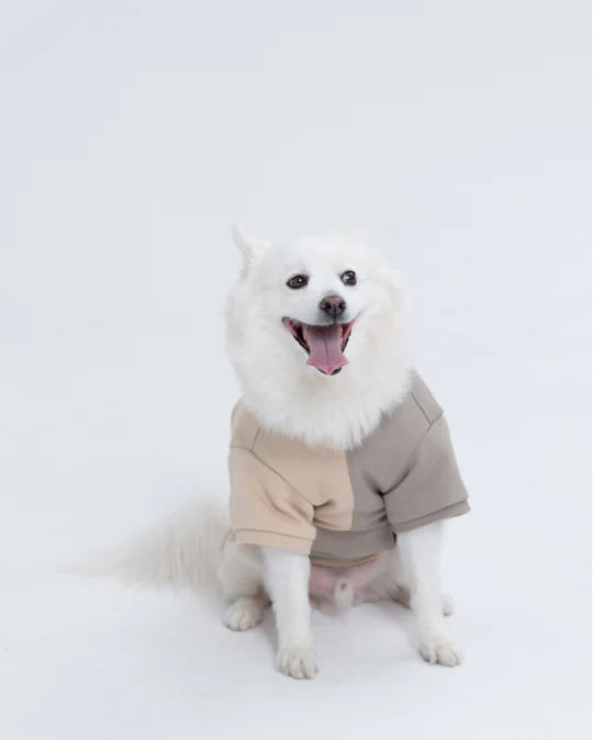 Street Grey Dog T-Shirt