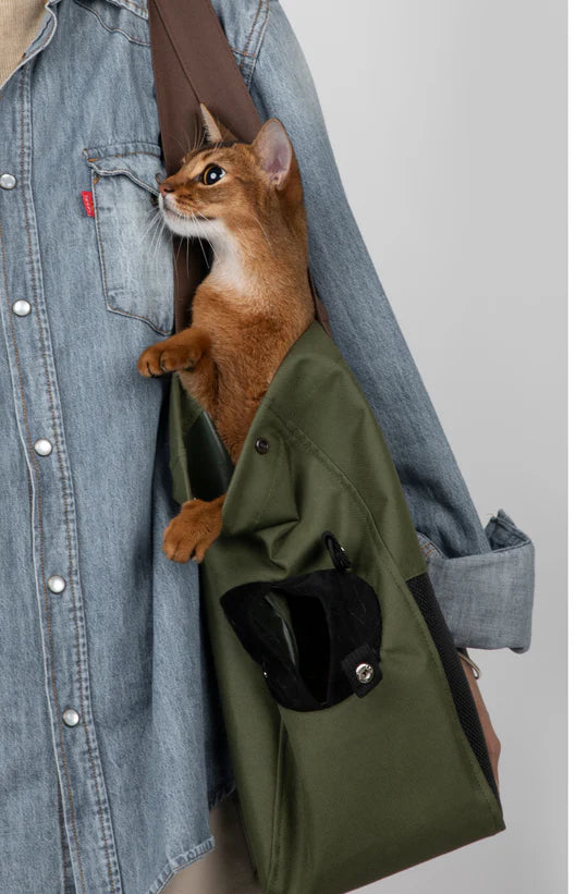 Two-Tone Pet Travel Bag