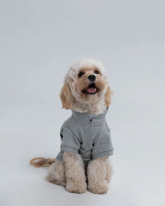 PawsPlay half-zip Dog sweatshirt