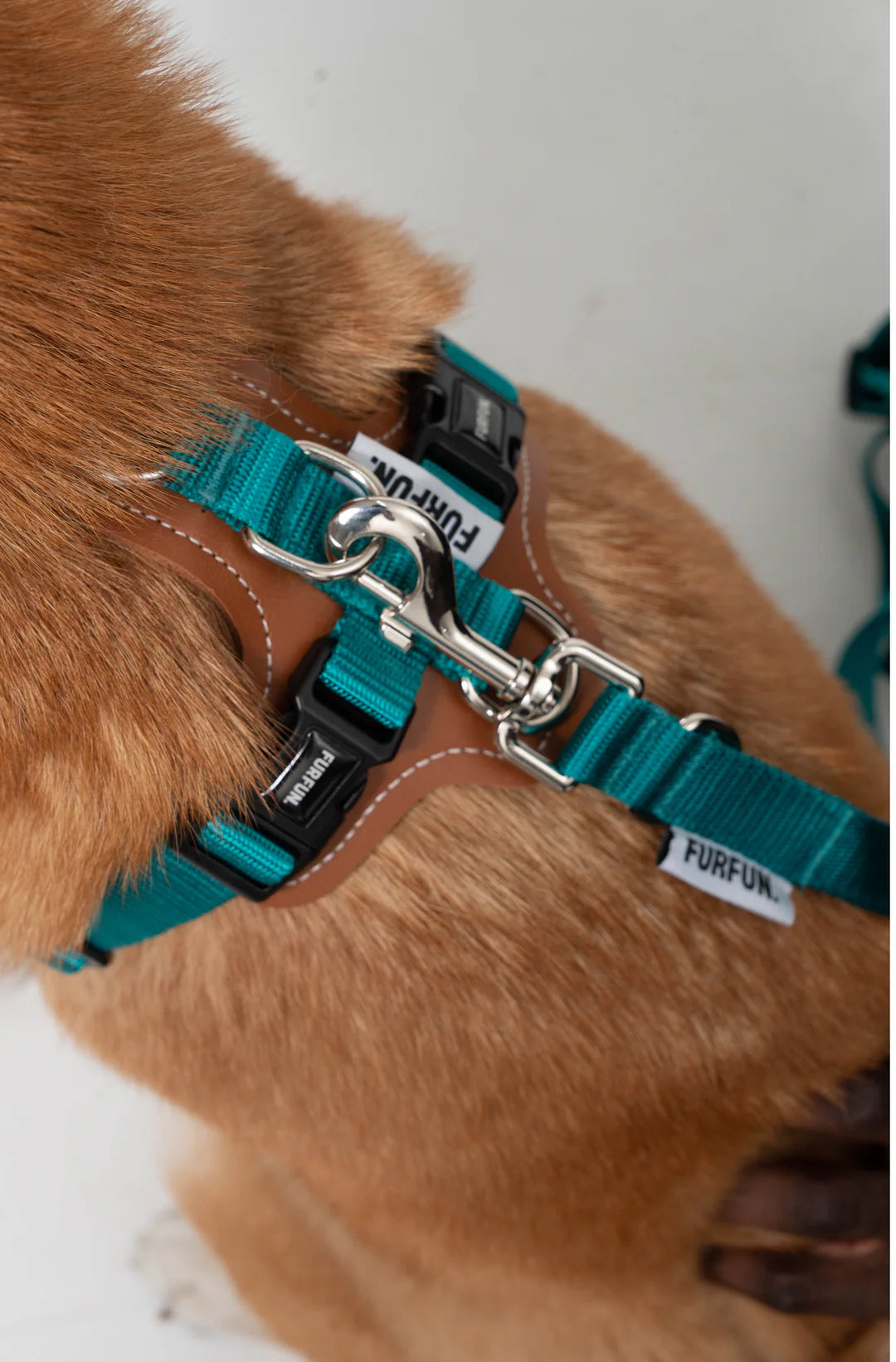 Dog Harness