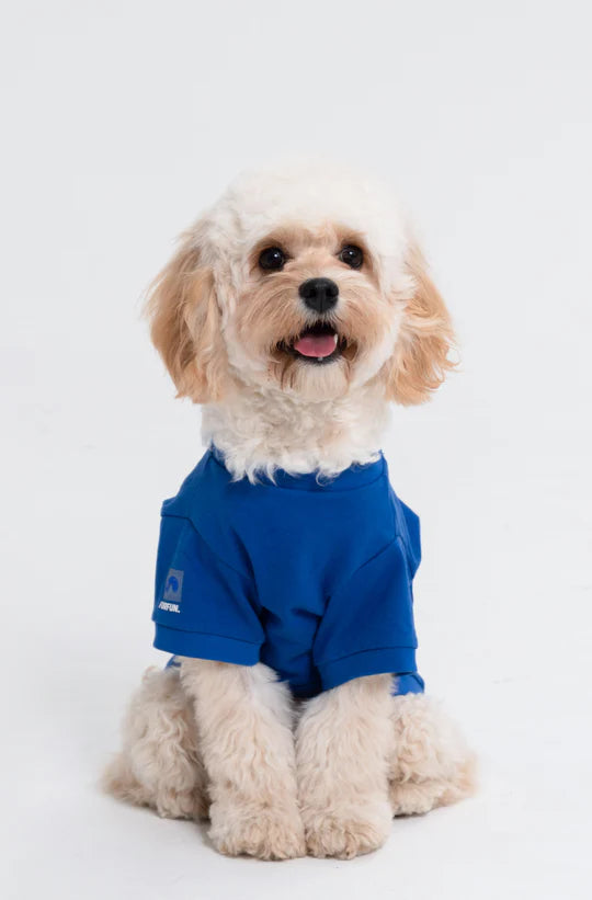 Paw-Some “High-Five” Dog T-Shirt