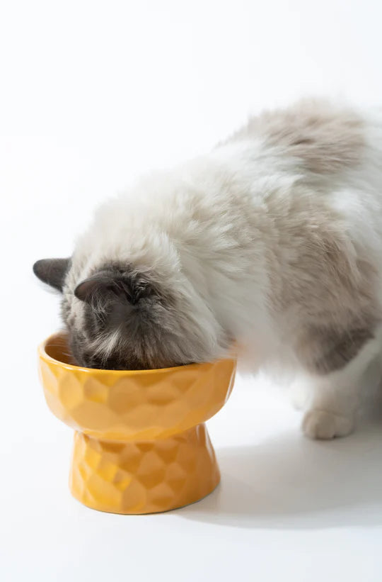 Nordic Pet Bowl