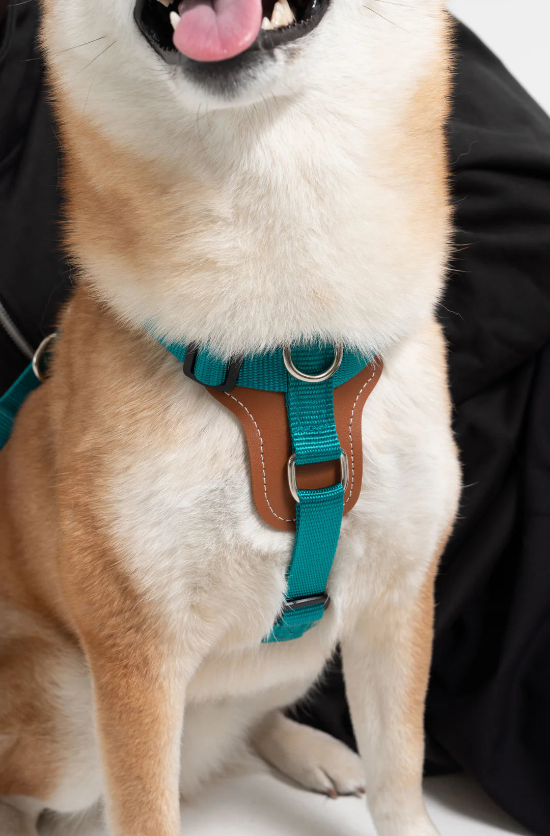 Dog Harness