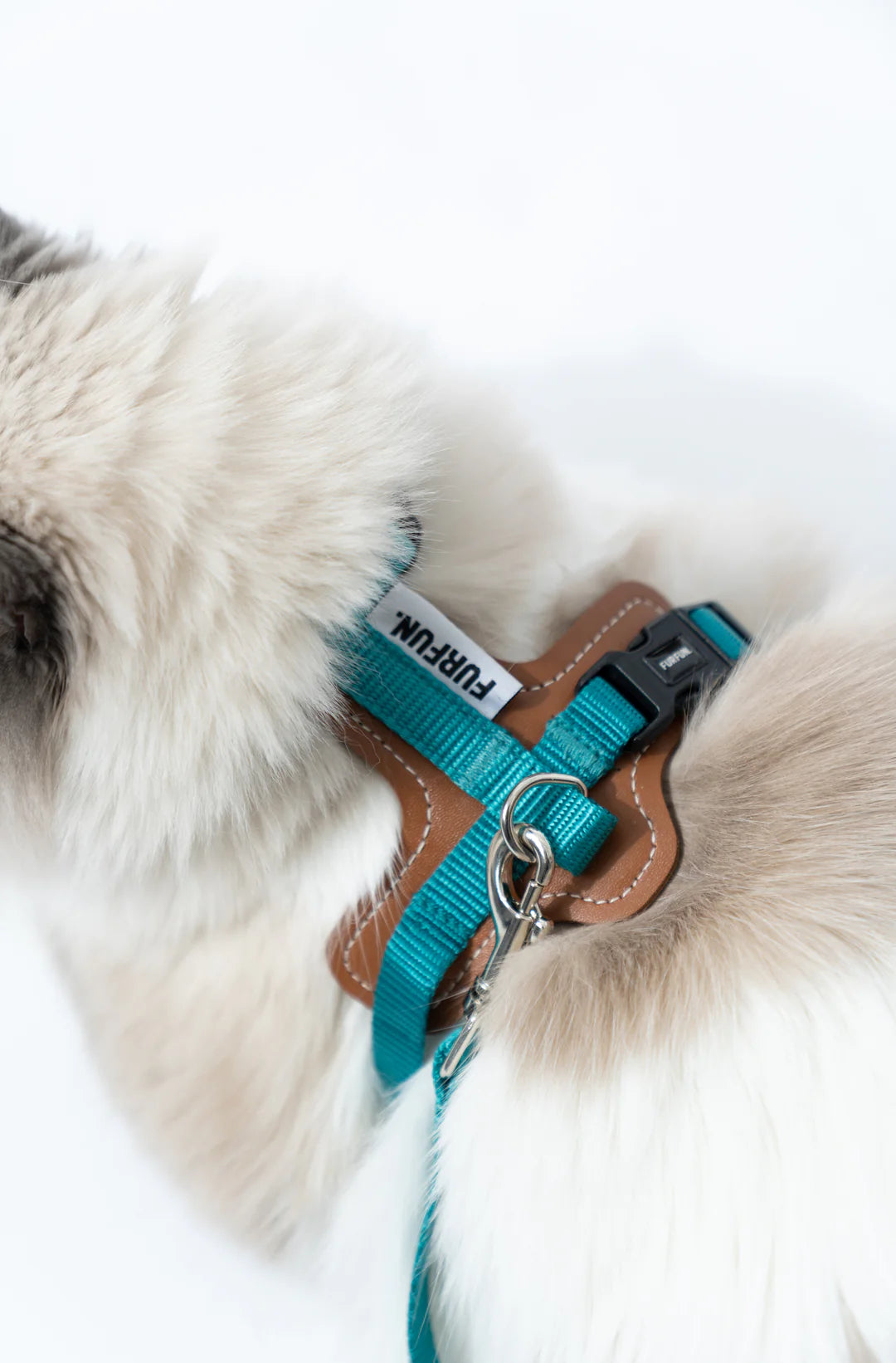 Cat Chest And Back Harness Set