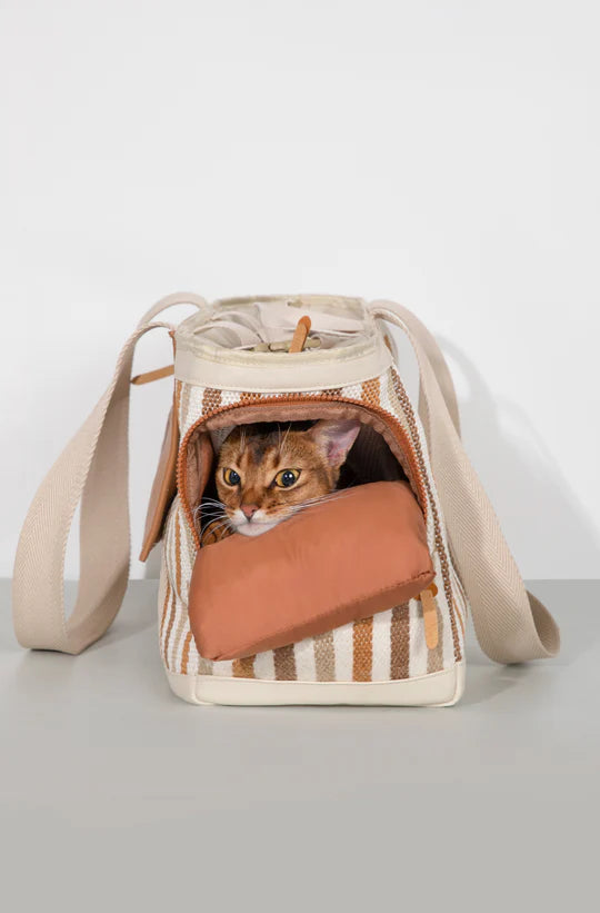 Let’s Get Out Pet Travel Bag